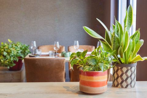 Foto van Restaurant De Plaetse